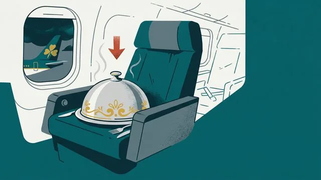 Man sitting in an airplane cabin with text overlay reading "EVERYTHING SUCKS* *almost
