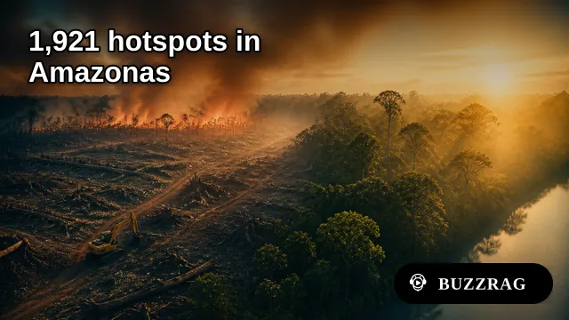 Brazil’s Amazon Deforestation Falls, but Fires Persist