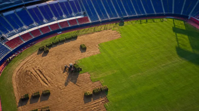 Buffalo Bills New Stadium Faces Turf Re-Sodding Issue