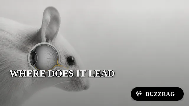 Mouse Study Finds a New Drainage Route Behind the Eye
