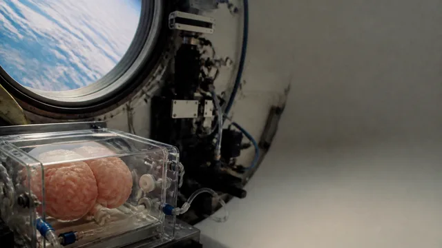 A NASA astronaut and doctor examine a glowing blue brain hologram with a young girl, illustrating space-based neuroscience…