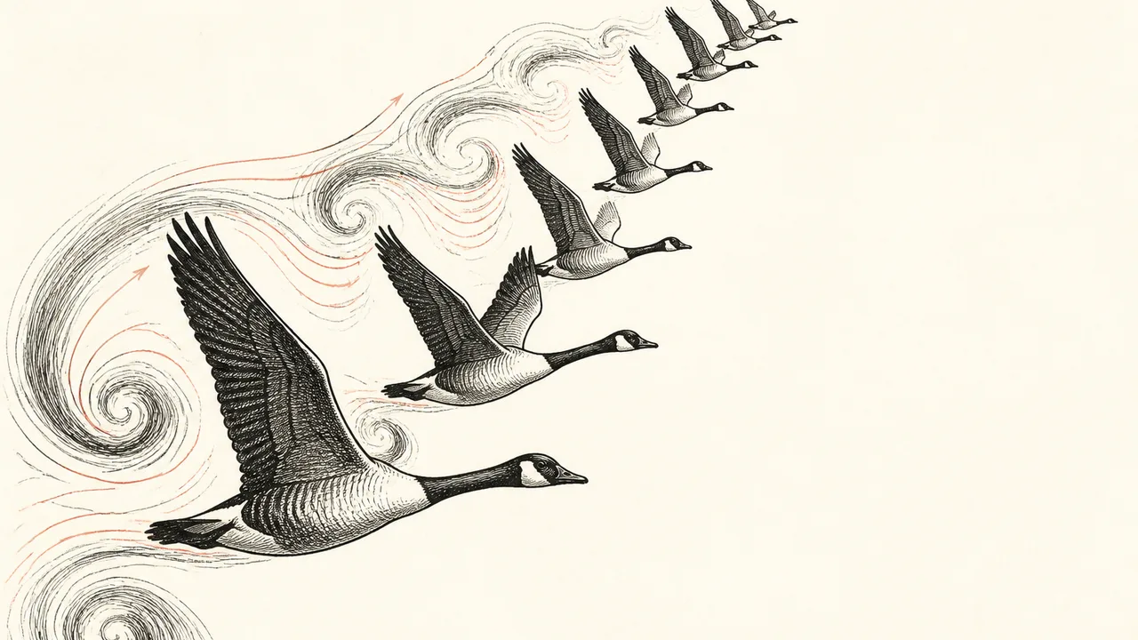 Silhouetted flock flies in a V across an orange sunset above mountains; text asks why birds fly in that weird V shape